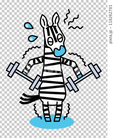 筋トレを頑張って体づくりをおこなうシマウマさん 118262781