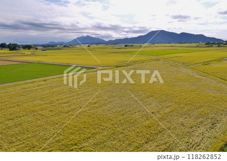 日本一のお米どころ越後平野 118262852