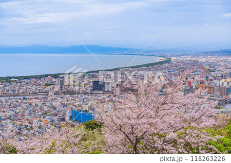 【静岡県】桜満開の香貫山から沼津の街並みを見る 【静岡県】桜満開の香貫山から沼津の街並みを見る 118263226