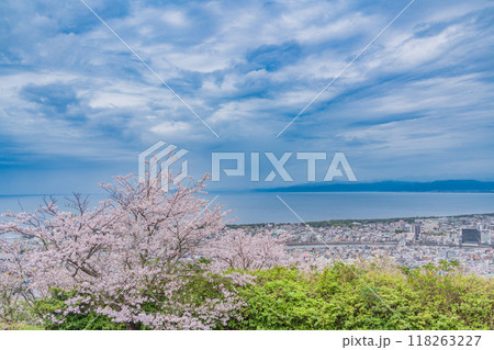 【静岡県】桜満開の香貫山から沼津の街並みを見る 【静岡県】桜満開の香貫山から沼津の街並みを見る 118263227