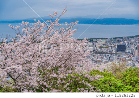 【静岡県】桜満開の香貫山から沼津の街並みを見る 118263228