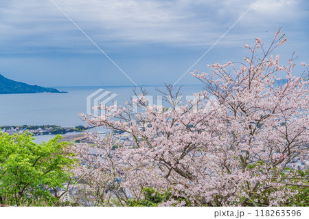 【静岡県】桜満開の香貫山から沼津の街並みを見る 【静岡県】桜満開の香貫山から沼津の街並みを見る 118263596