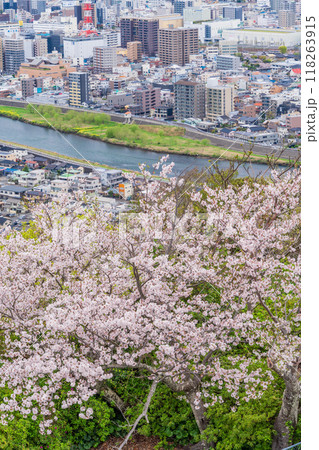 【静岡県】桜満開の香貫山から沼津の街並みを見下ろす 118263915