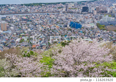 【静岡県】桜満開の香貫山から沼津の街並みを見下ろす 118263920