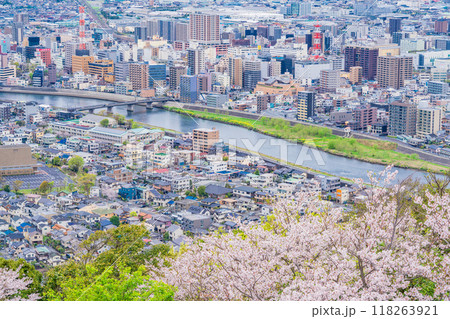 【静岡県】桜満開の香貫山から沼津の街並みを見下ろす 118263921