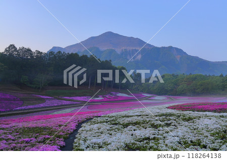 羊山公園 芝桜の丘 羊山公園 芝桜の丘 118264138
