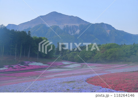 羊山公園 芝桜の丘 羊山公園 芝桜の丘 118264146