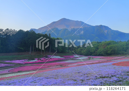 羊山公園　芝桜の丘 118264171