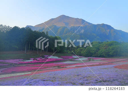 羊山公園　芝桜の丘 118264183