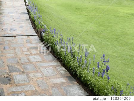 Concrete cement walkway in the garden lawn Concrete cement walkway in the garden lawn 118264209