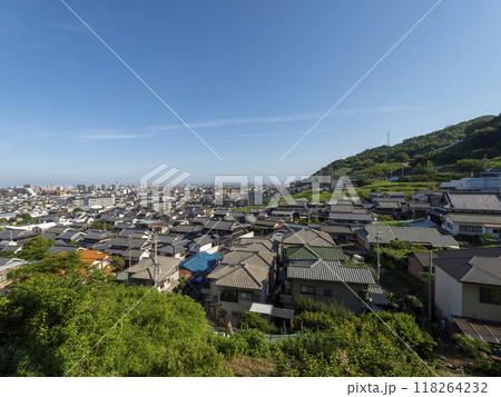 葡萄畑が広がる大阪府柏原市の高尾山 葡萄畑が広がる大阪府柏原市の高尾山 118264232