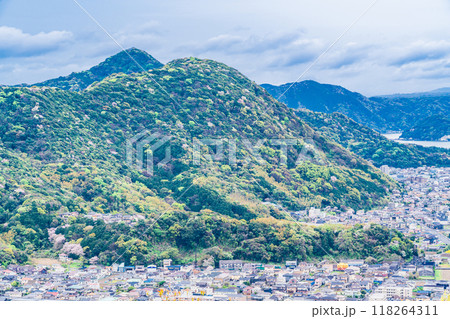 【静岡県】新緑の沼津アルプスに点在して咲く山桜と伊豆方面の展望 118264311