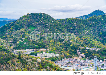 【静岡県】新緑の沼津アルプスに点在して咲く山桜と伊豆方面の展望 118264312
