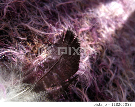 羽根　幻想の世界 118265058