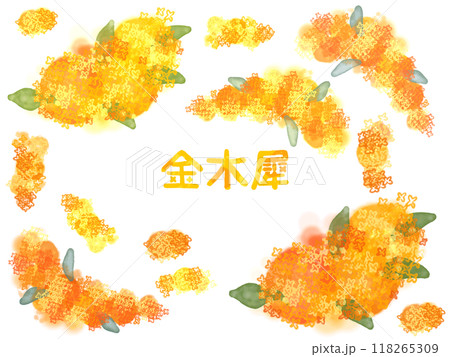 水彩金木犀 118265309