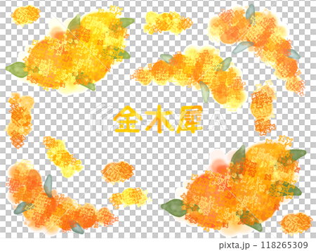 水彩金木犀 118265309