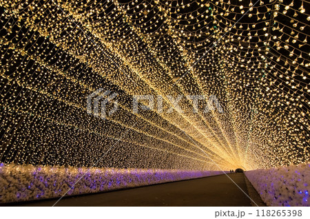 【光のトンネル】なばなの里イルミネーション 【光のトンネル】なばなの里イルミネーション 118265398