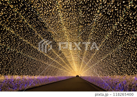 【光のトンネル】なばなの里イルミネーション 118265400