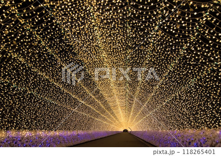 【光のトンネル】なばなの里イルミネーション 118265401