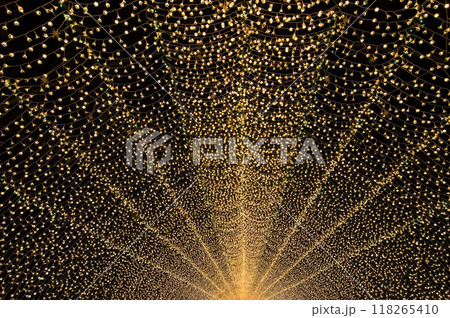 【光のトンネル】なばなの里イルミネーション 118265410