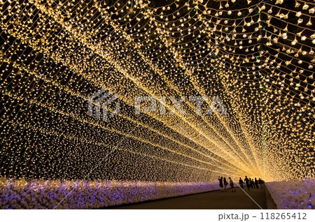 【光のトンネル】なばなの里イルミネーション 118265412