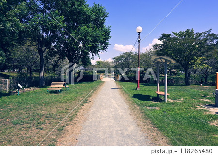 まっすぐ続く公園の道 118265480