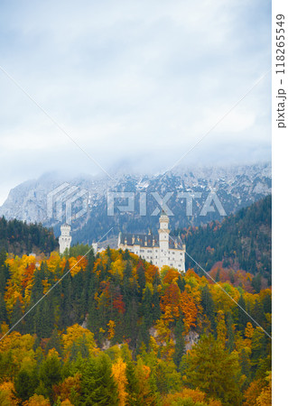 Neuschwanstein castle in Germany Neuschwanstein castle in Germany 118265549