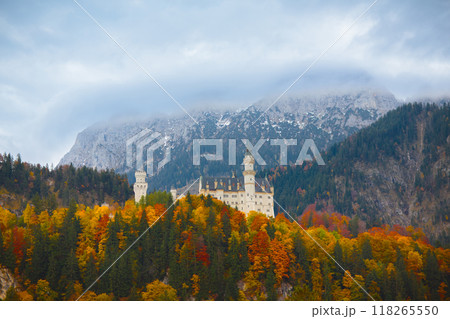 Neuschwanstein castle in Germany Neuschwanstein castle in Germany 118265550