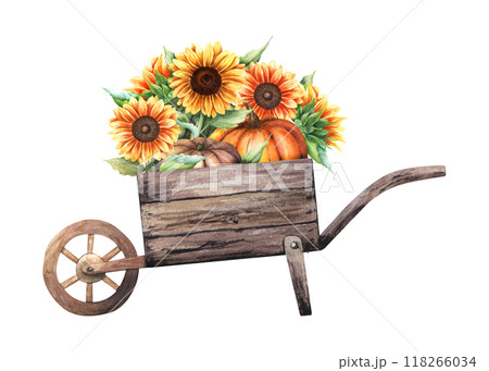 Antique rustic old wooden wheelbarrow with classic autumn vegetables pumpkins and yellow sunflowers. Hand drawn watercolor illustration isolated on white background. For clip art posters flyers Antique rustic old wooden wheelbarrow with classic autumn vegetables pumpkins and yellow sunflowers. Hand drawn watercolor illustration isolated on white background. For clip art posters flyers 118266034