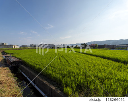 八尾駐屯地横に広がる田園風景 八尾駐屯地横に広がる田園風景 118266061