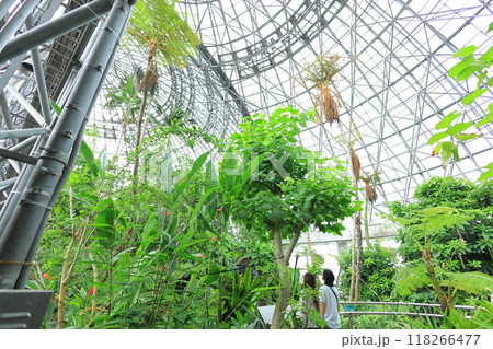 夢の島熱帯植物園 夢の島熱帯植物園 118266477