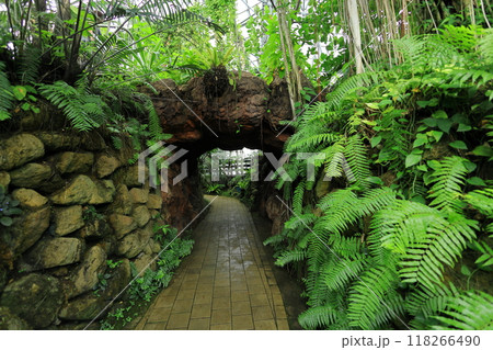 夢の島熱帯植物園 夢の島熱帯植物園 118266490