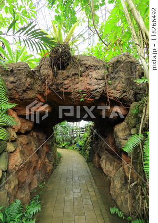夢の島熱帯植物園 118266492