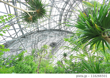 夢の島熱帯植物園 夢の島熱帯植物園 118266501
