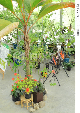 夢の島熱帯植物園 118266518