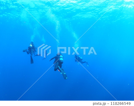 青い海の中を浮遊するダイバー 青い海の中を浮遊するダイバー 118266549