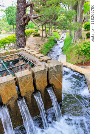 福島県 郡山市 麓山公園(安積疏水) 福島県 郡山市 麓山公園(安積疏水) 118266706