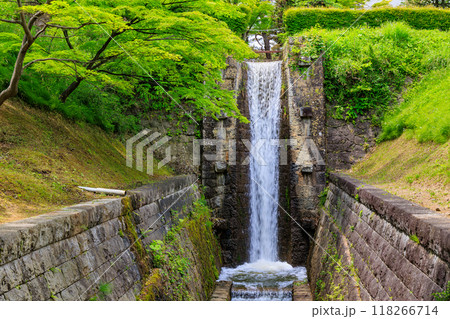 福島県　郡山市　麓山公園（安積疏水麓山の飛瀑） 118266714