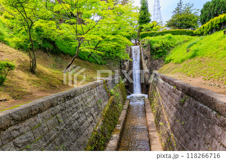 福島県　郡山市　麓山公園（安積疏水麓山の飛瀑） 118266716