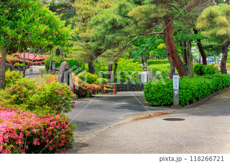福島県　郡山市　麓山公園（安積疏水麓山の飛瀑） 118266721