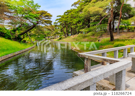 福島県　郡山市　麓山公園（弁天池） 118266724