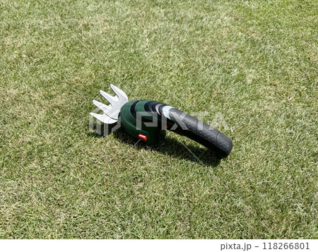 刈高2cmの芝生と電動芝刈り機 刈高2cmの芝生と電動芝刈り機 118266801