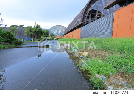 夢の島熱帯植物館 118267243