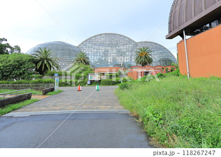 夢の島熱帯植物館 夢の島熱帯植物館 118267247
