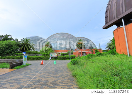 夢の島熱帯植物館 118267248