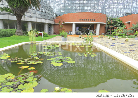 夢の島熱帯植物館 夢の島熱帯植物館 118267255