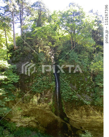 榛名神社の瓶子の滝(みすずの滝:群馬県高崎市) 榛名神社の瓶子の滝(みすずの滝:群馬県高崎市) 118267396