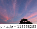 夕焼け空に映える 118268283