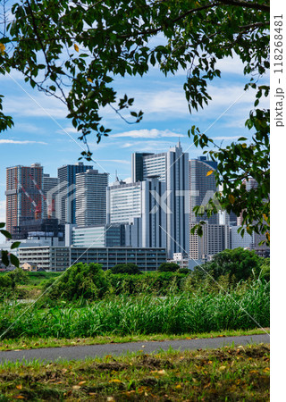 川崎市 武蔵小杉のタワーマンション群と桜並木の風景 川崎市 武蔵小杉のタワーマンション群と桜並木の風景 118268481