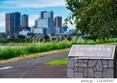 川崎市 武蔵小杉のタワーマンション群と桜並木の風景 川崎市 武蔵小杉のタワーマンション群と桜並木の風景 118268507